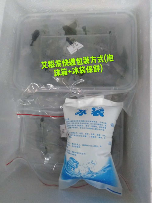 生鲜速递，品质保鲜 广东省内顺丰包邮，24小时急速发货