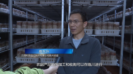 临川 以项目建设为引擎 跑出工业高质量发展“加速度”